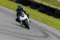 PJ-Motorsport-2019;anglesey-no-limits-trackday;anglesey-photographs;anglesey-trackday-photographs;enduro-digital-images;event-digital-images;eventdigitalimages;no-limits-trackdays;peter-wileman-photography;racing-digital-images;trac-mon;trackday-digital-images;trackday-photos;ty-croes